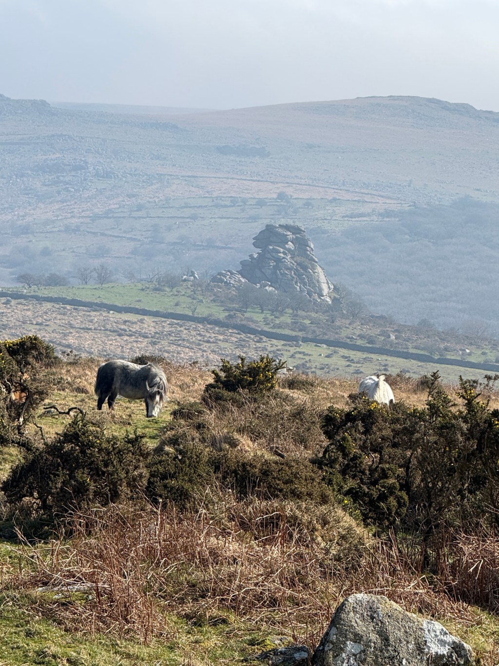 Wednesday 4th March 2026 – Crossing over Dartmoor….