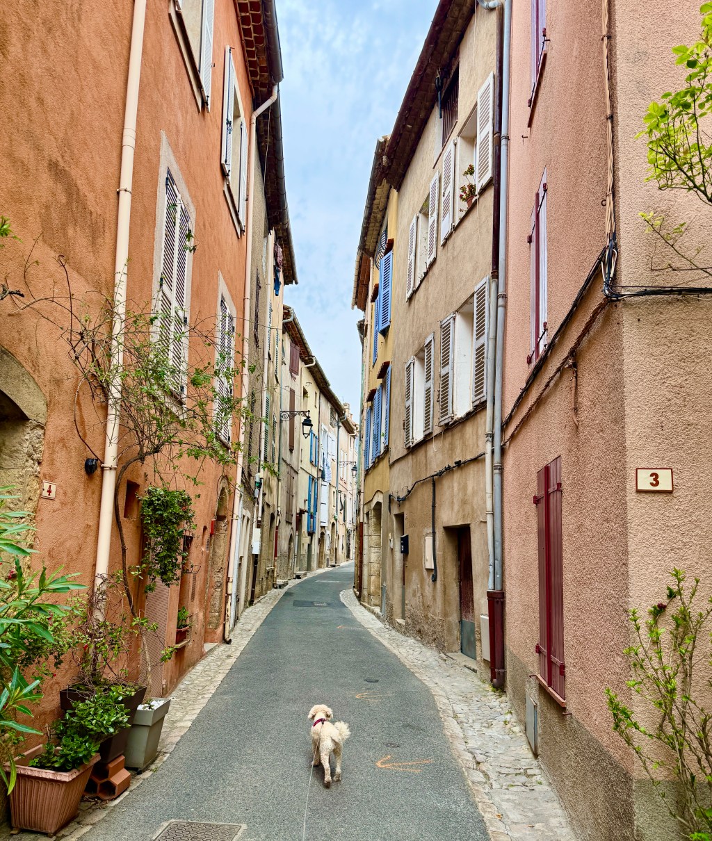 Sunday 12th April 2026 – A wander up to and around Montauroux….
