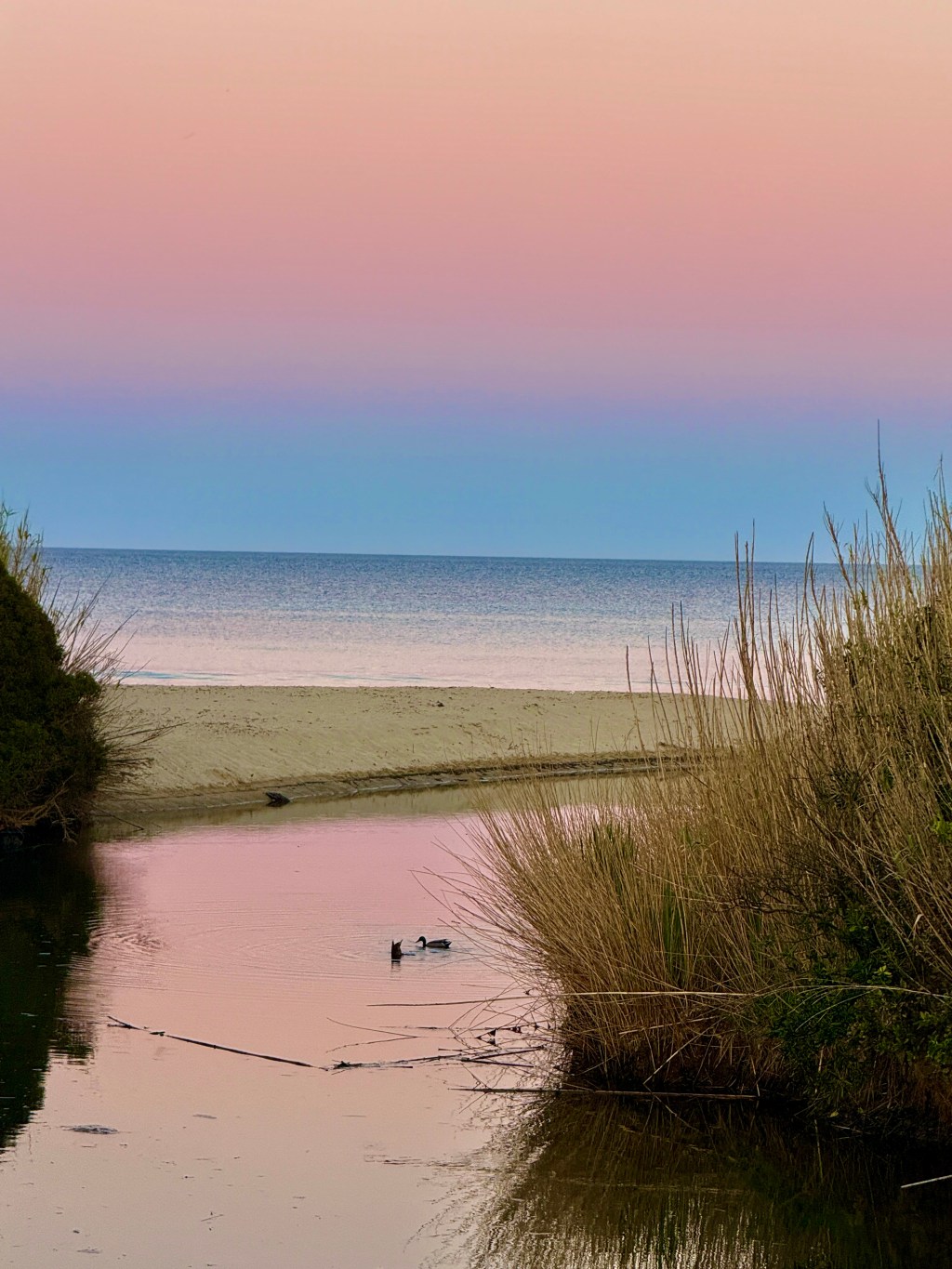 Friday 3rd April 2026 – a lazy day on Plage de Pampelonne…